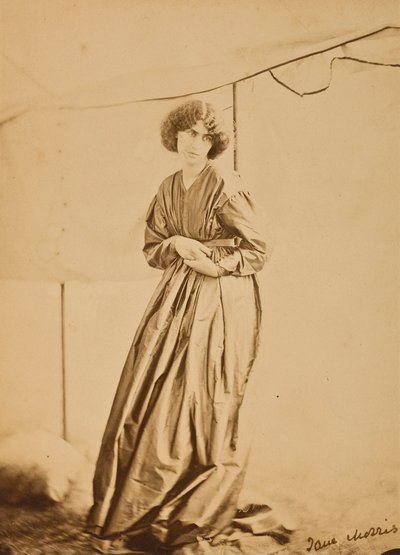 Ritratto di Jane Morris, 1865 da John R. Parsons